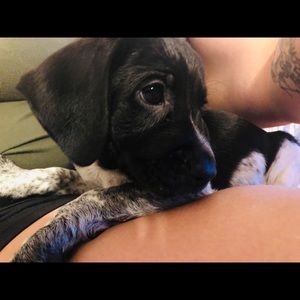 Meet your Posher, Meghan